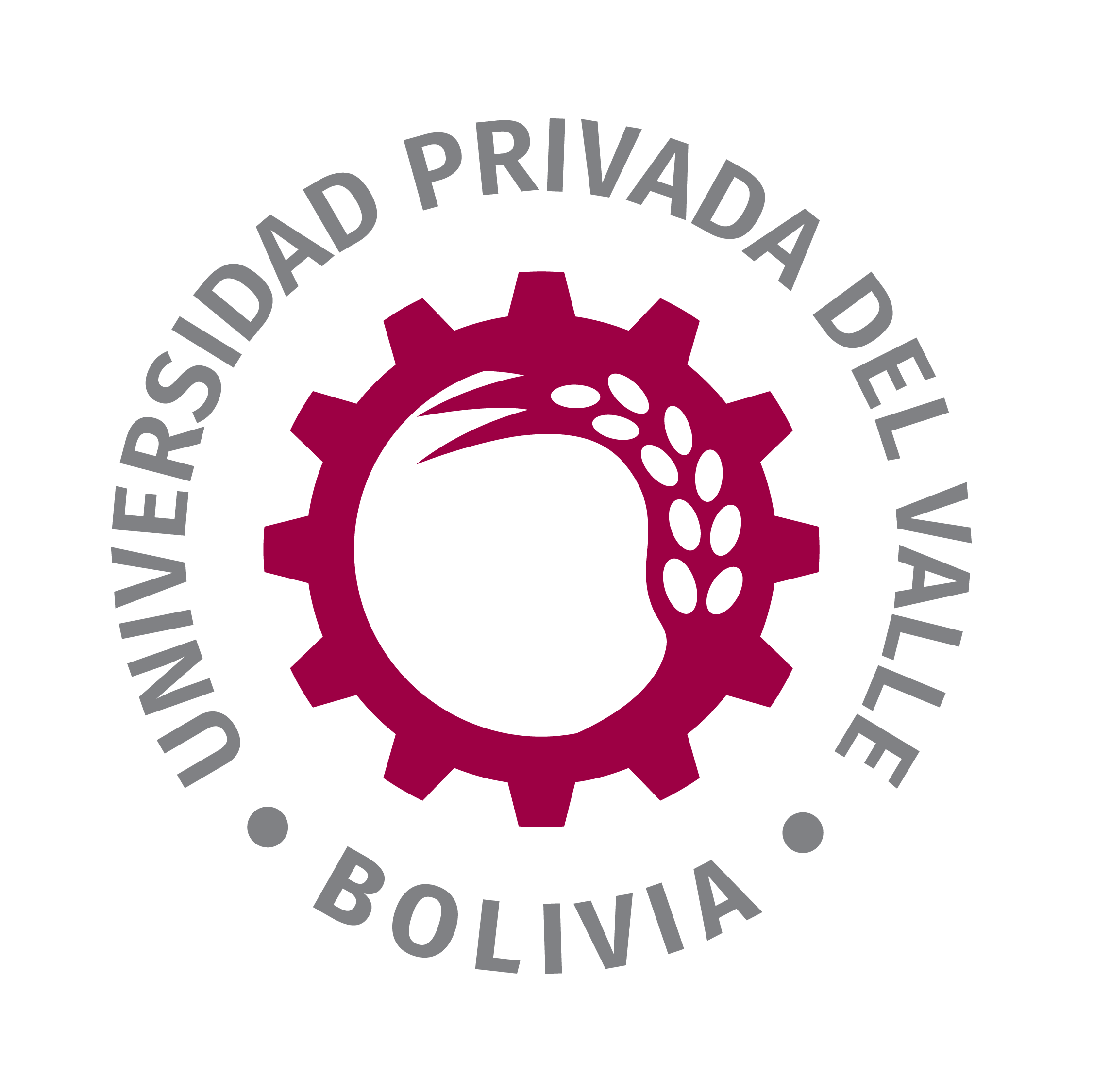 Universidad Privada del Valle